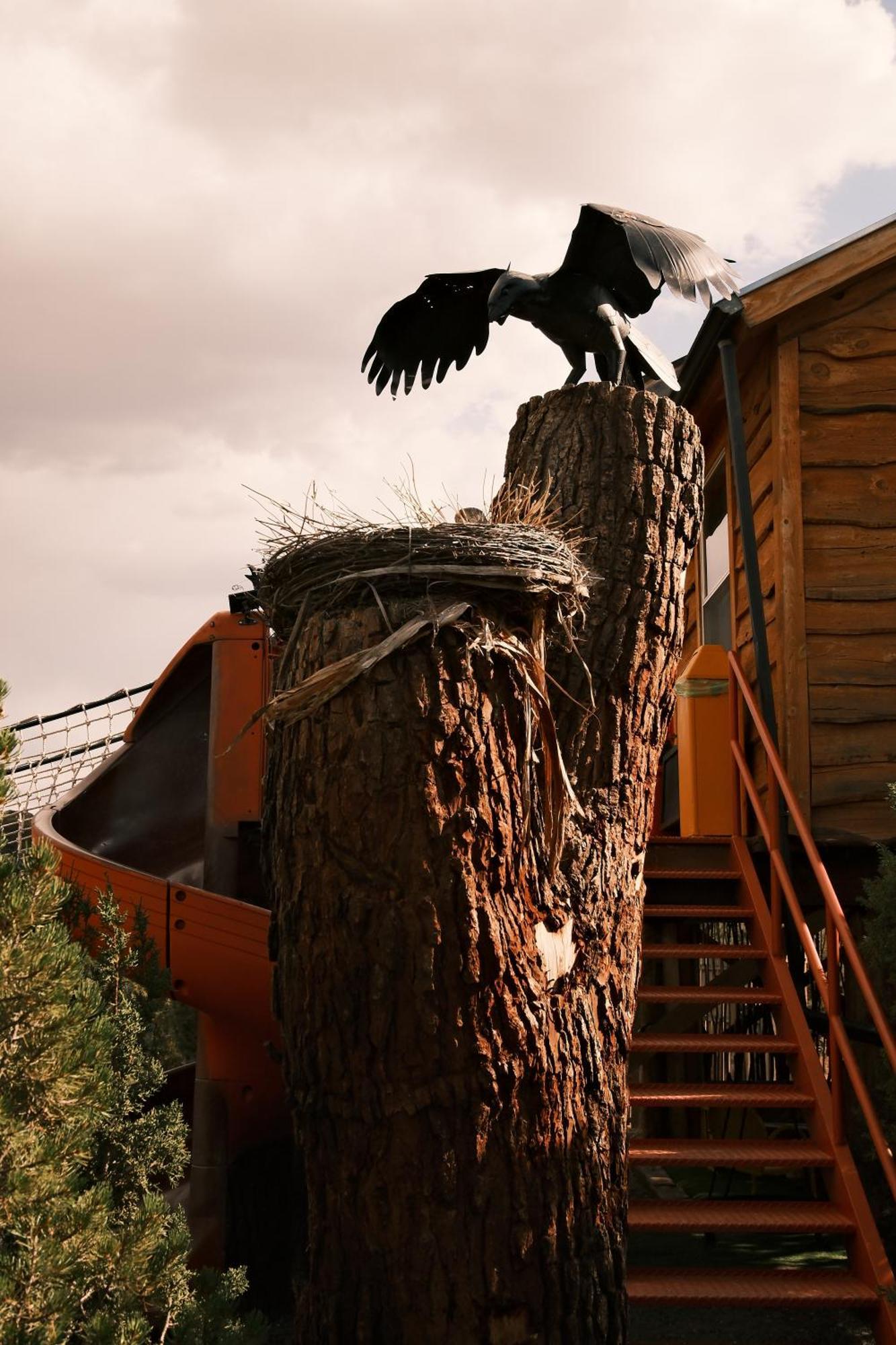 Crows Nest Treehouse At El Mstico Ranch Villa Nogal Buitenkant foto