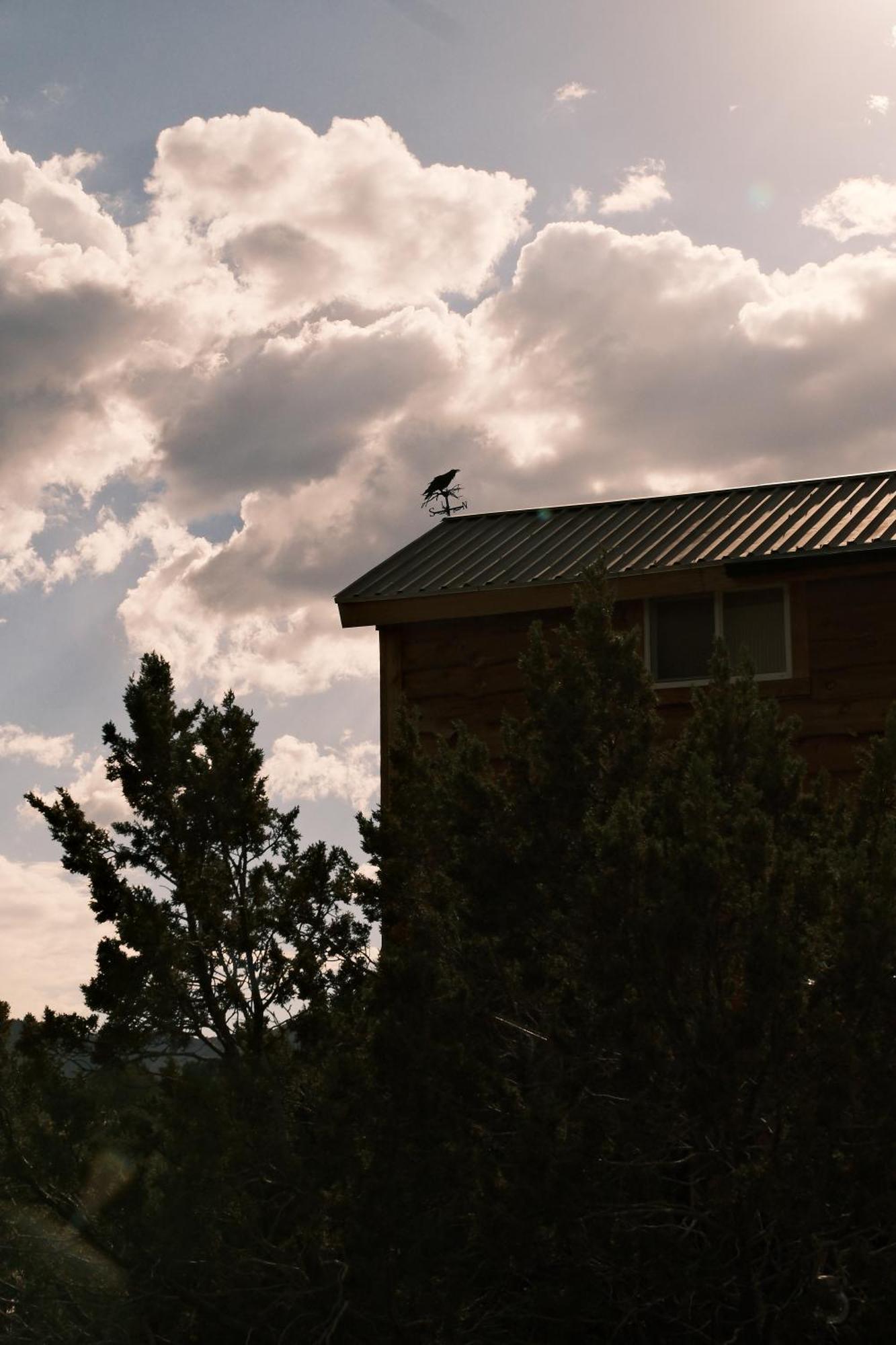 Crows Nest Treehouse At El Mstico Ranch Villa Nogal Buitenkant foto